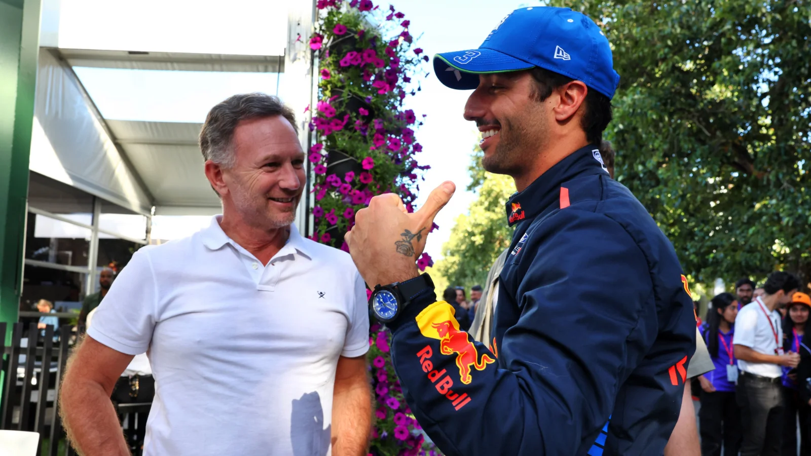 Horner Praises Ricciardo, Faults Red Bull Car